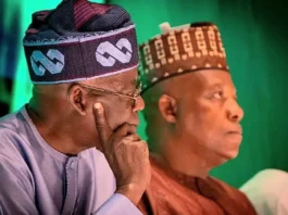 They told Tinubu that my Borno attire was charmed to kill him—Shettima