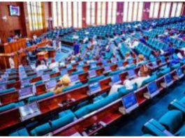 BREAKING: Ugochinyere: G-60 caucus protests House leadership over Minority Leader position House of reps