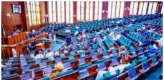 Ugochinyere: Nigeria’s House of Reps announces Agbedi as Minority Leader House of reps