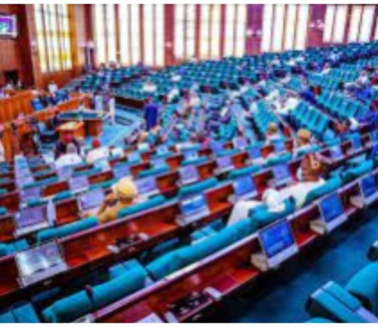 BREAKING: Ugochinyere: G-60 caucus protests House leadership over Minority Leader position House of reps