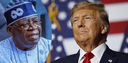 Tinubu to visit US president Trump soon — Nigerian Ambassador