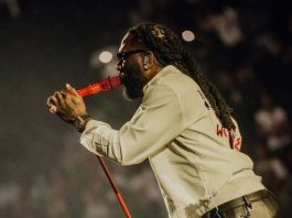 Nigeria’s Burna Boy breaks record for most monthly listeners by African artist in Spotify history