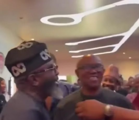 Man in Tinubu cap joins crowd to take selfie with Peter Obi in viral video