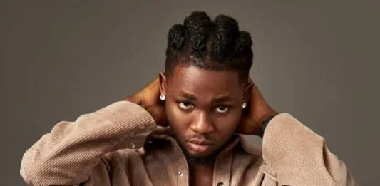 I’ll be Africa’s richest artist in Africa soon— Omah Lay declares