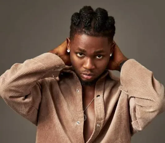 I’ll be Africa’s richest artist in Africa soon— Omah Lay declares