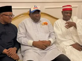 Exclusive: 2027: Heavy crisis hits NDC after Peter Obi, Kwankwaso’s defection