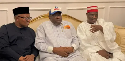 Exclusive: 2027: Heavy crisis hits NDC after Peter Obi, Kwankwaso’s defection