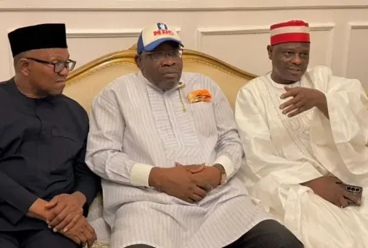 Exclusive: 2027: Heavy crisis hits NDC after Peter Obi, Kwankwaso’s defection