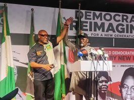 ADC: Trouble for Atiku, Amaechi as Kachikwu clinches presidential ticket