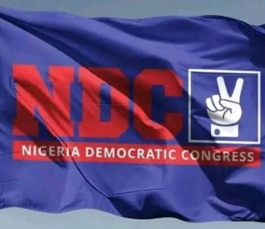 BREAKING: 2027: Prof Ene-Nwannaji clinches Enugu NDC guber candidate ticket