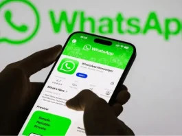 Account holders can choose to bear ‘Tinubu, Trump’ usernames as WhatsApp introduces new feature WhatsApp