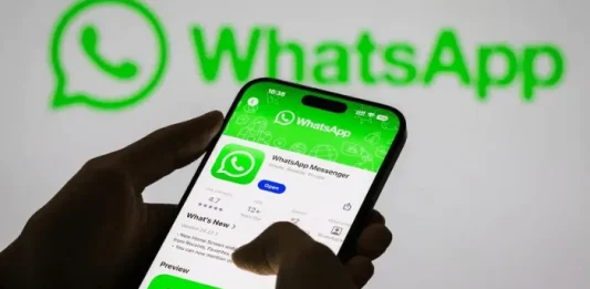 Account holders can choose to bear ‘Tinubu, Trump’ usernames as WhatsApp introduces new feature WhatsApp