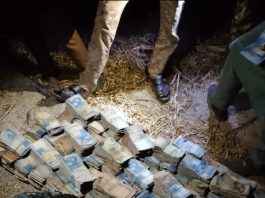Insecurity: Notorious Bandit flaunts kidnap ransom cash on TikTok