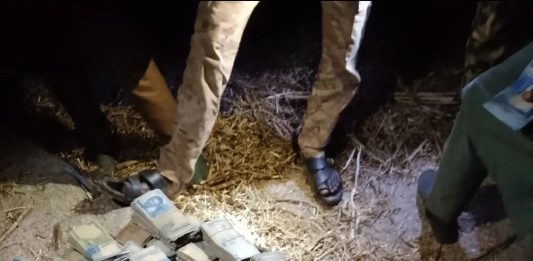 Insecurity: Notorious Bandit flaunts kidnap ransom cash on TikTok