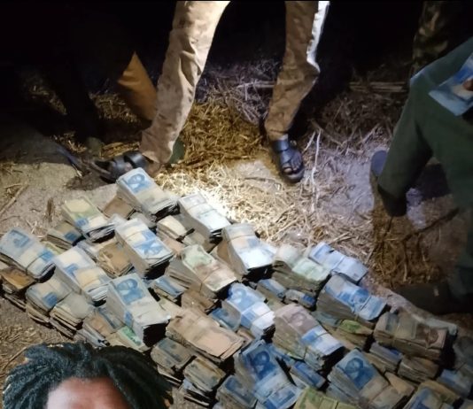 Insecurity: Notorious Bandit flaunts kidnap ransom cash on TikTok