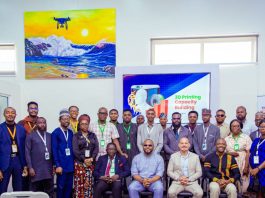 Czech, Nigeria partnership opens new frontier for 3D printing