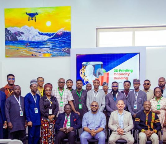 Czech, Nigeria partnership opens new frontier for 3D printing