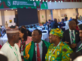 Nigeria advances stronger African unity ahead of ITU elections